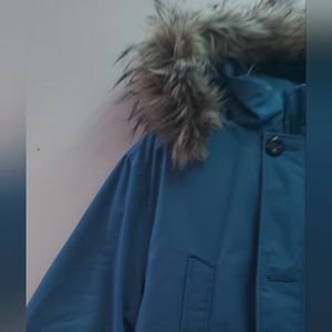 NWT*  TOMMY HILFIGURE COAT Recycled down parka (Athletic Blue)